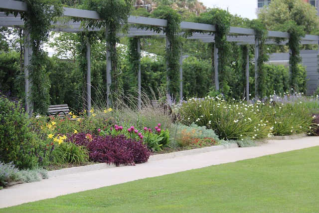 Tips voor het laten plaatsen van houten pergola’s in Vlaams Limburg