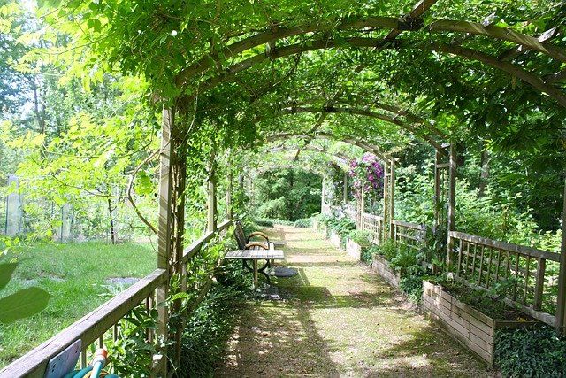 Een houten pergola laten plaatsen in Noord-Brabant? Dit moet u weten