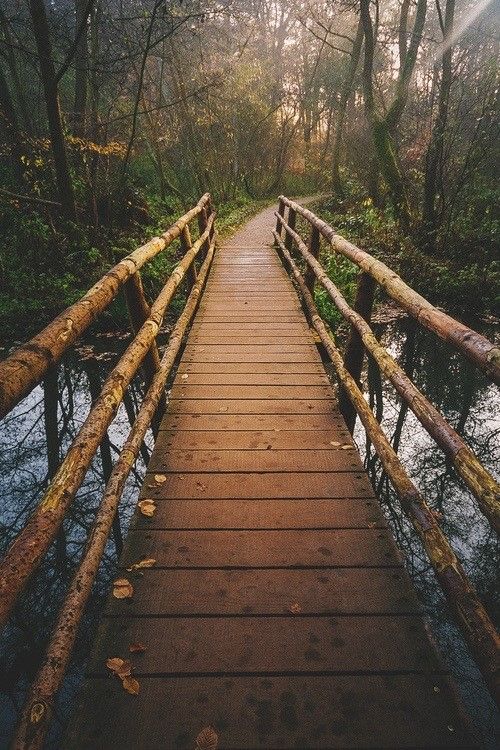 houten brug