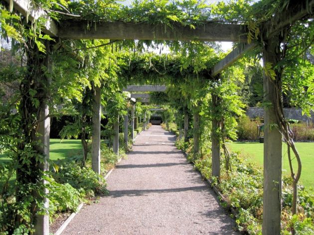 begroeide pergola