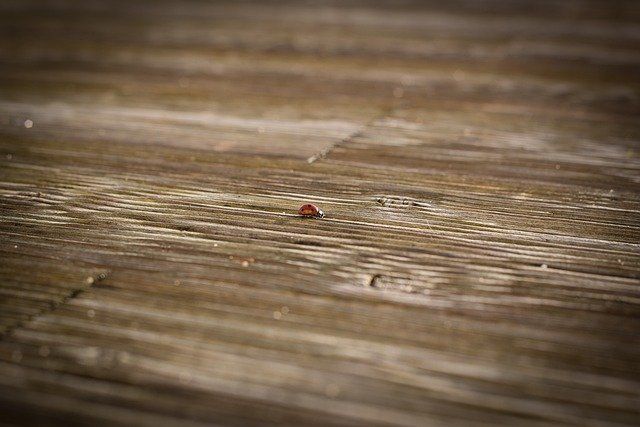 Houten vlonder laten plaatsen in Veghel