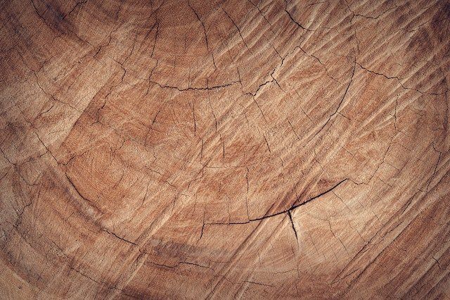 Houten vlonder laten plaatsen in Almelo