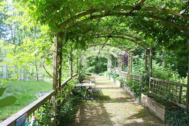 Een houten pergola laten plaatsen in Noord-Brabant? Dit moet u weten