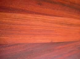 padoek hout